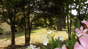 Landsmanschaft Teutonia Würzburg im CC - Galeriebild